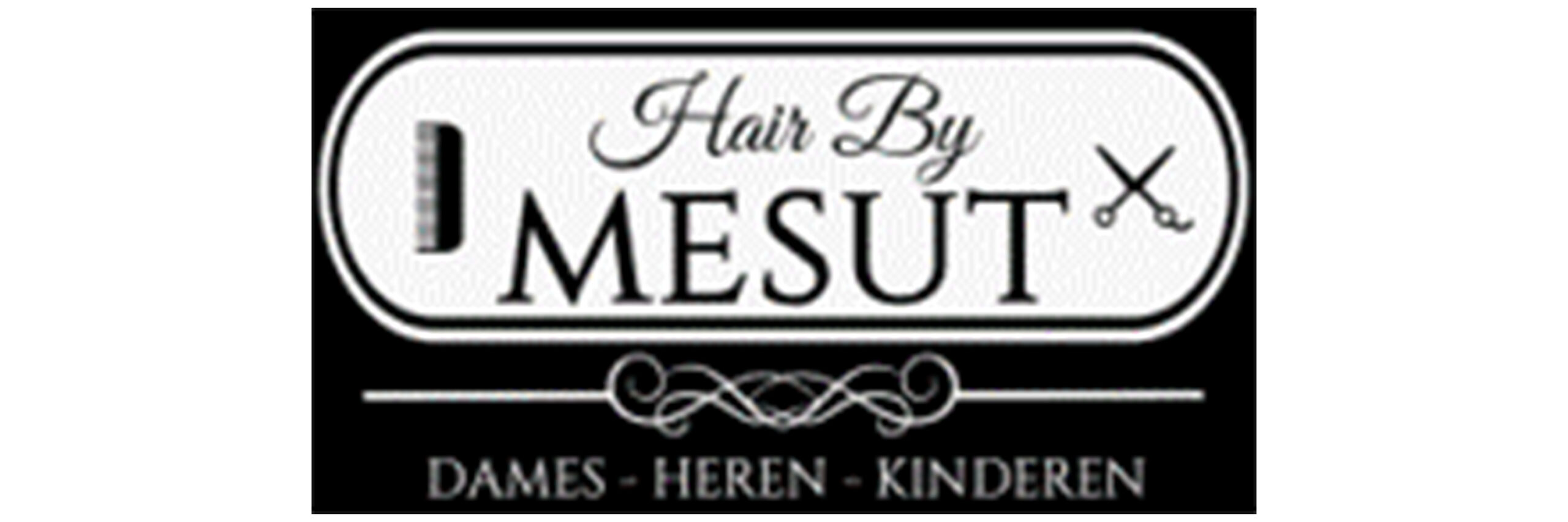 banner_1-3__0012_hair by mesut